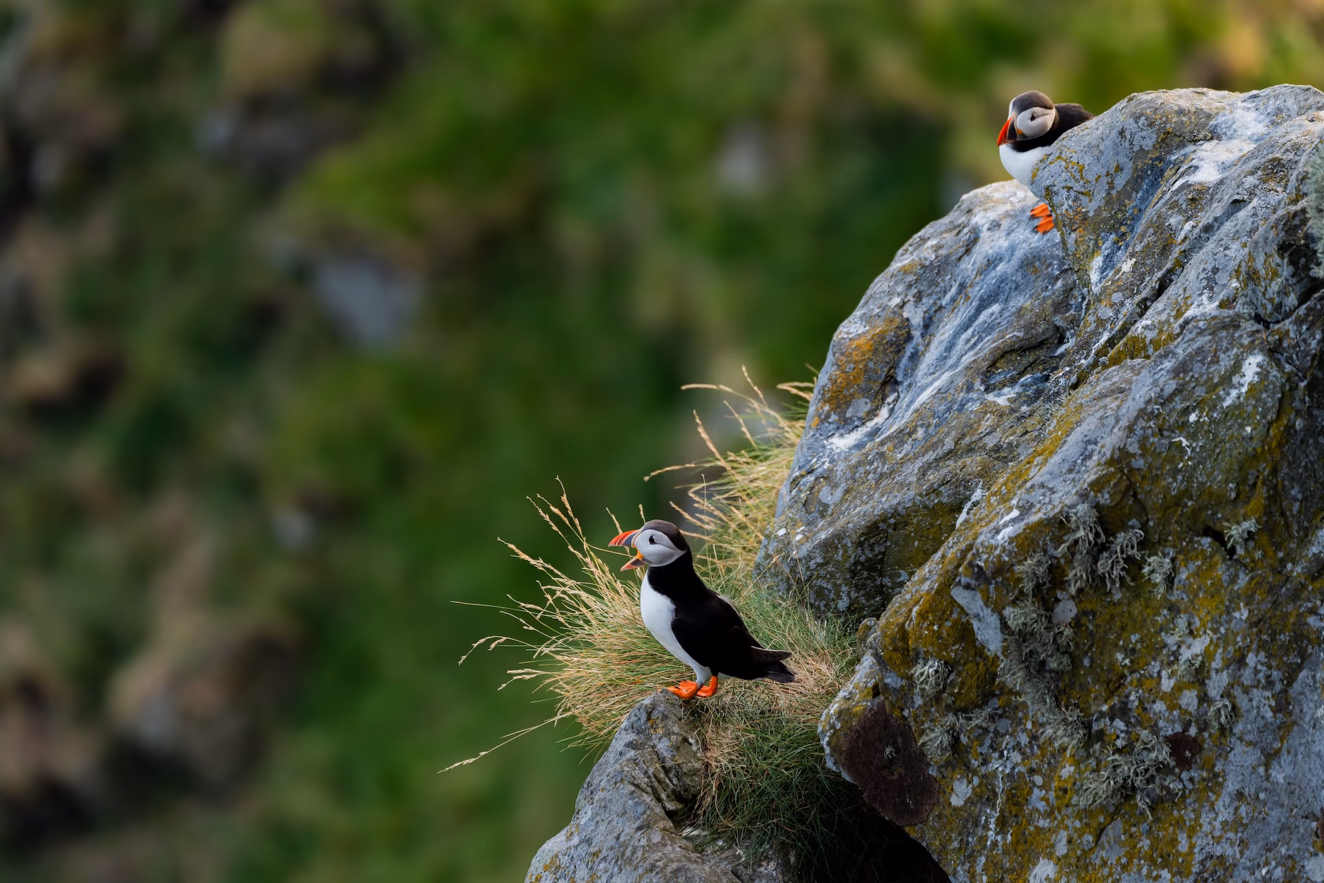 Zdjęcie z portfolio