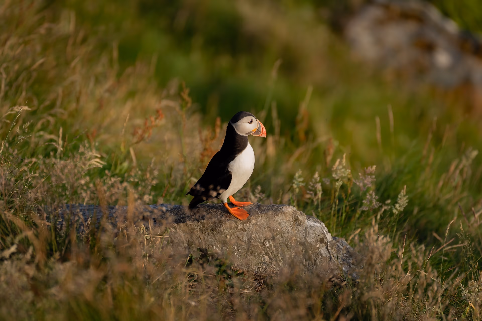 Zdjęcie z portfolio