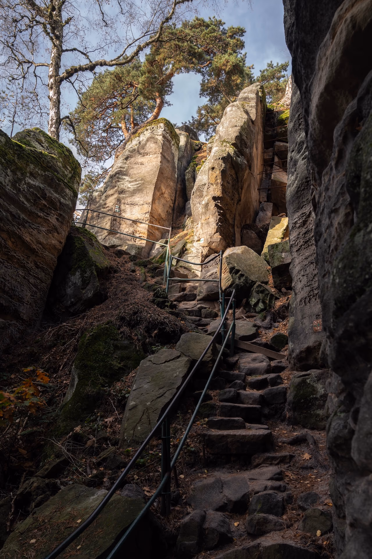 Zdjęcie z portfolio