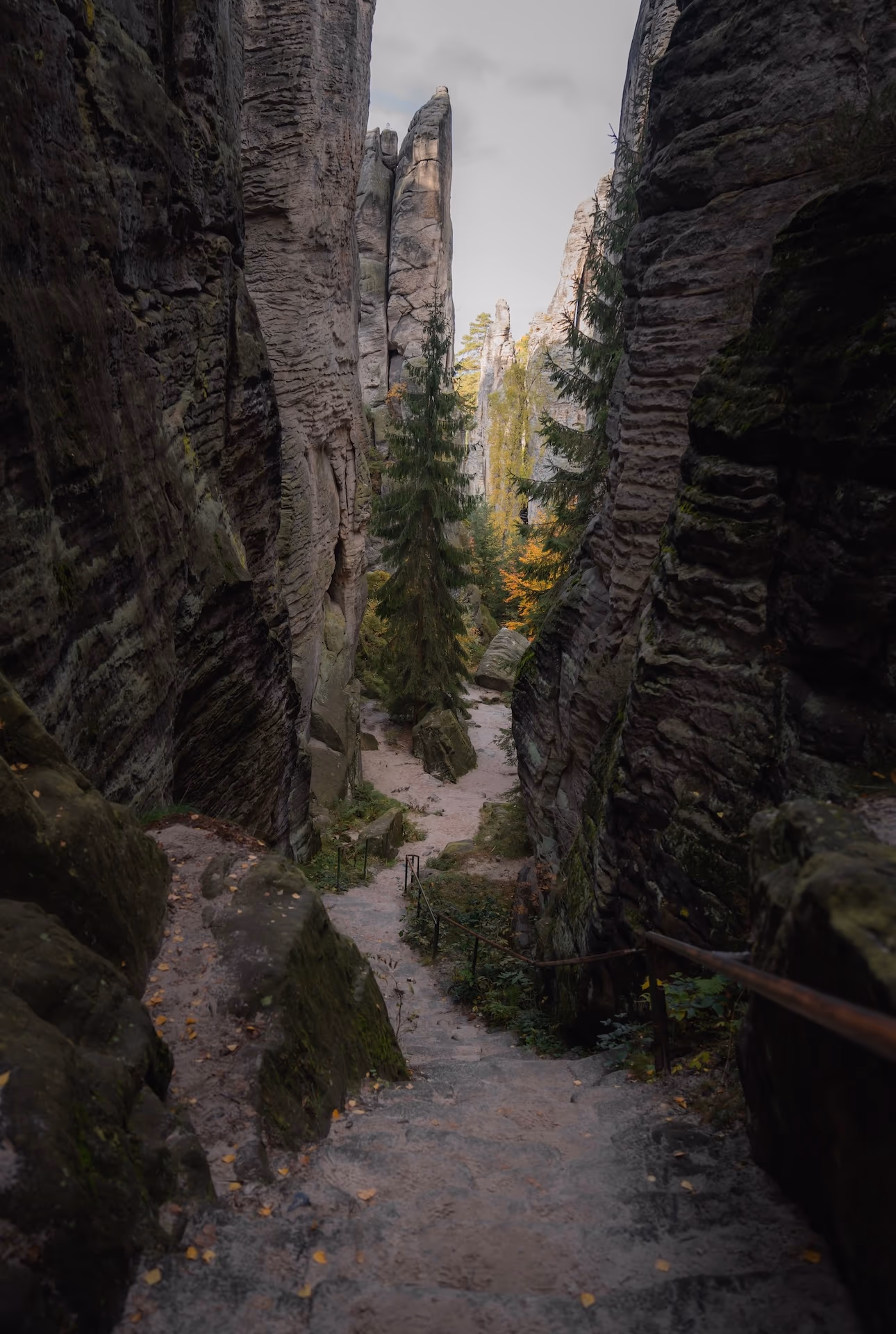 Zdjęcie z portfolio