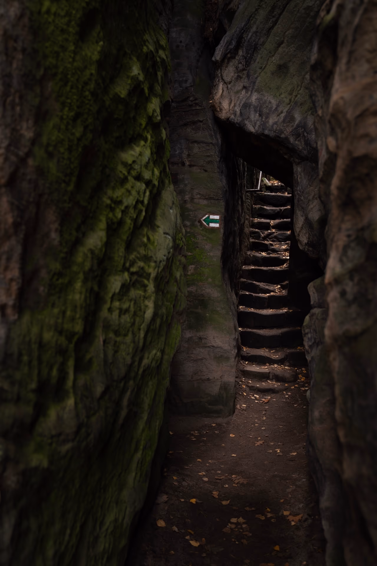 Zdjęcie z portfolio