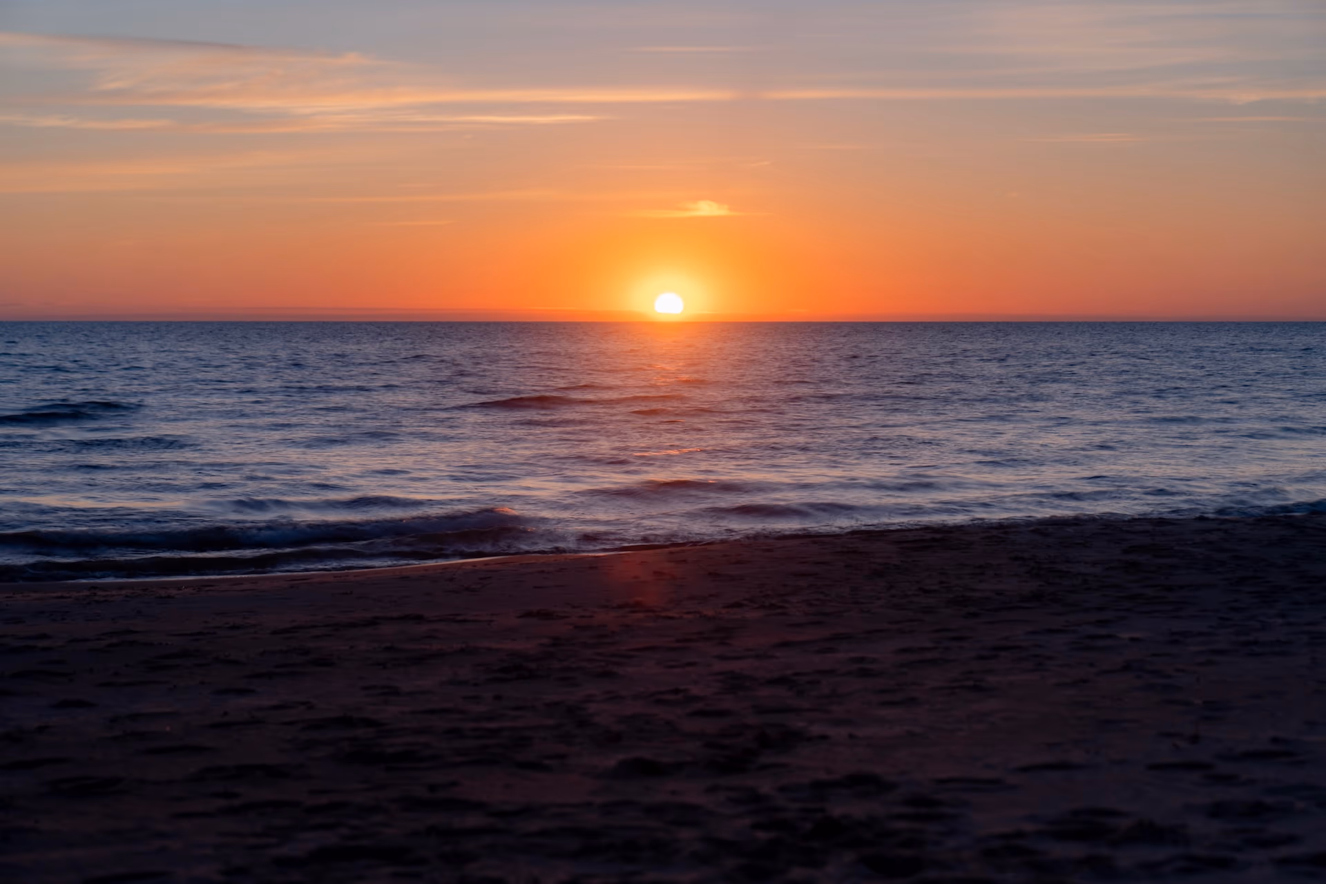 Zdjęcie z portfolio