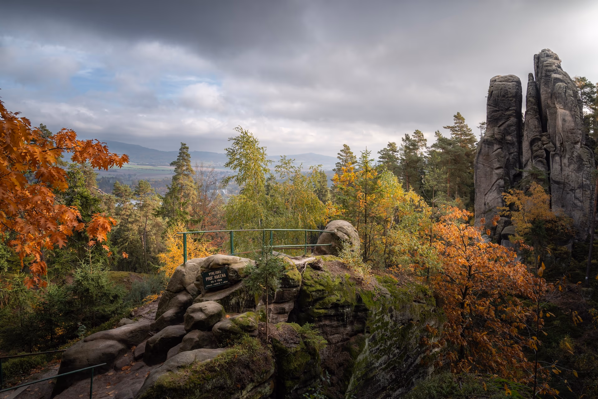 Zdjęcie z portfolio