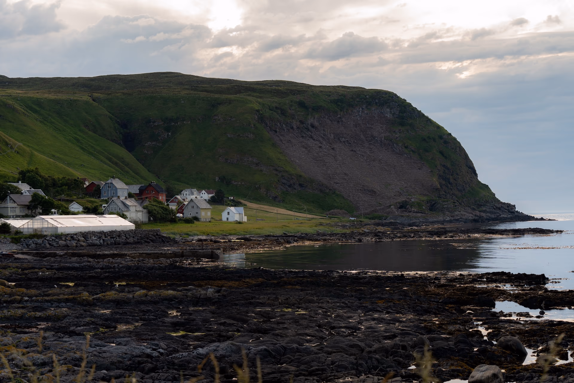 Zdjęcie z portfolio