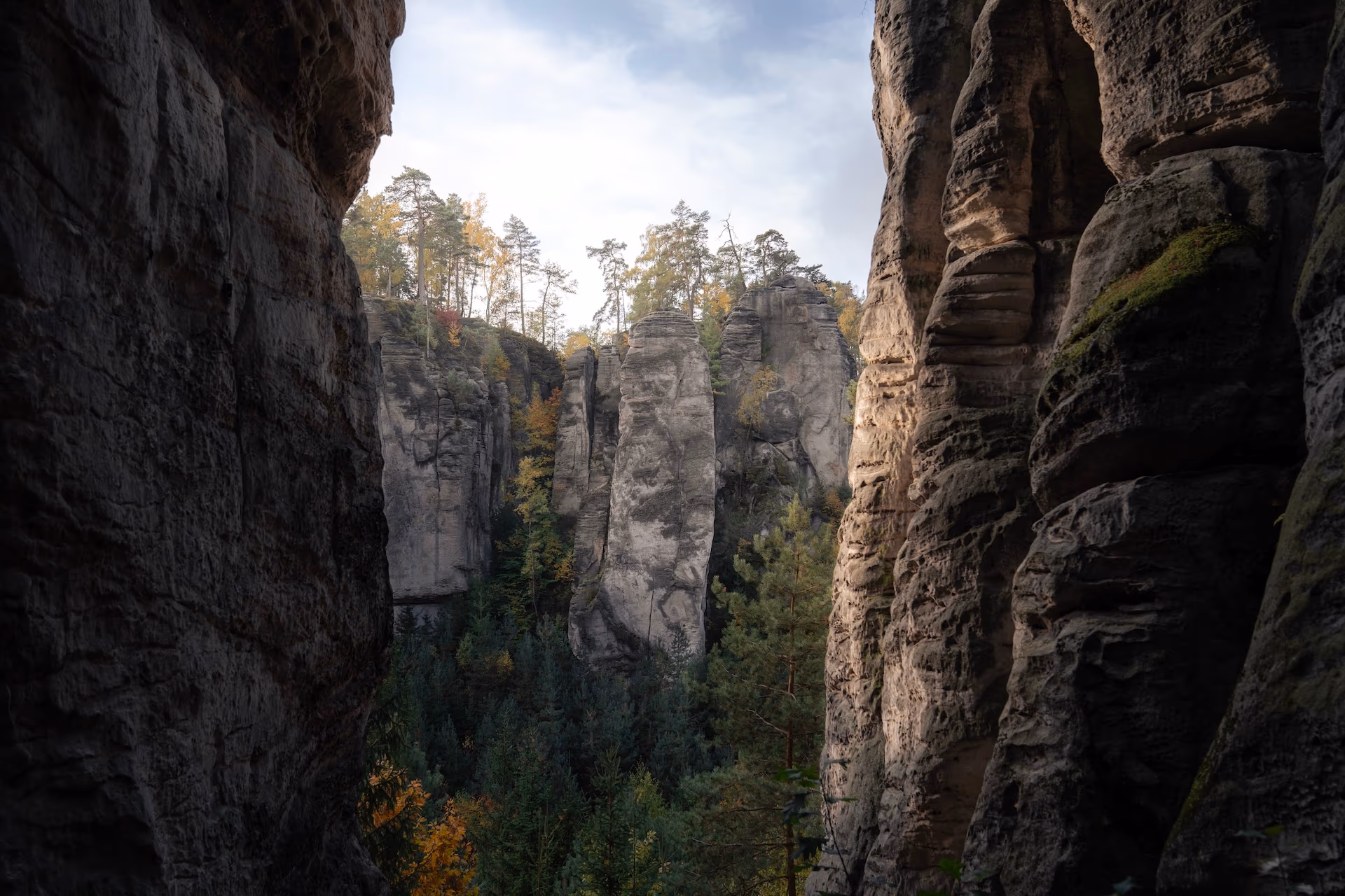 Zdjęcie z portfolio