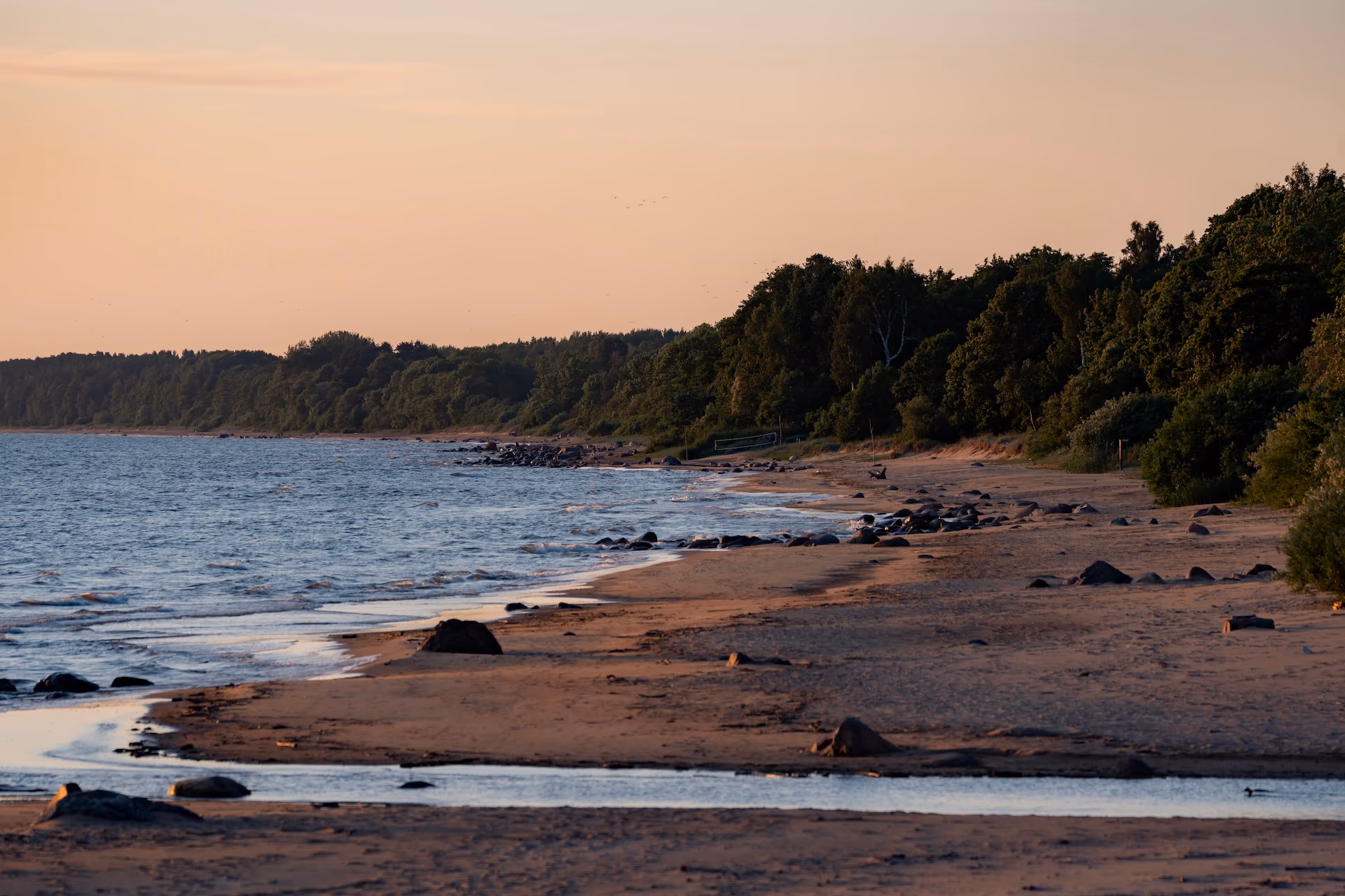 Zdjęcie z portfolio