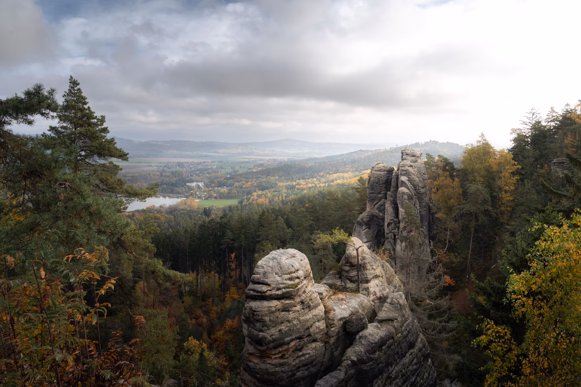 Zdjęcie z portfolio